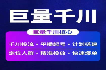 大型SEM服务公司案例分析